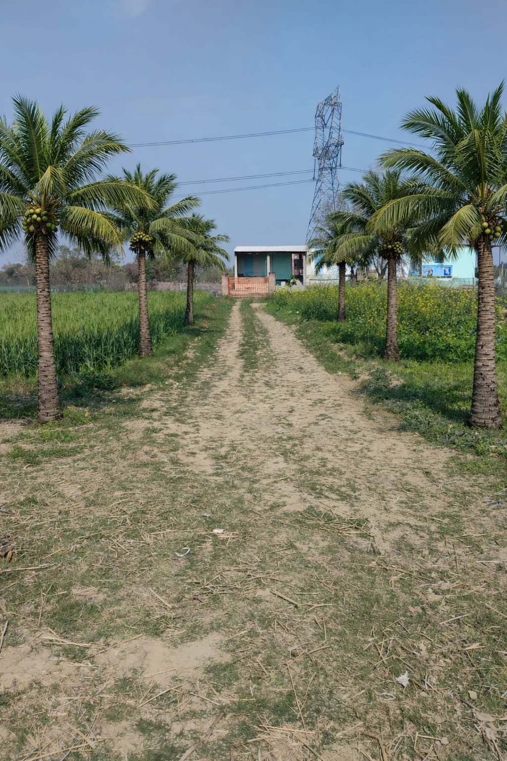 Vasudha facility site area